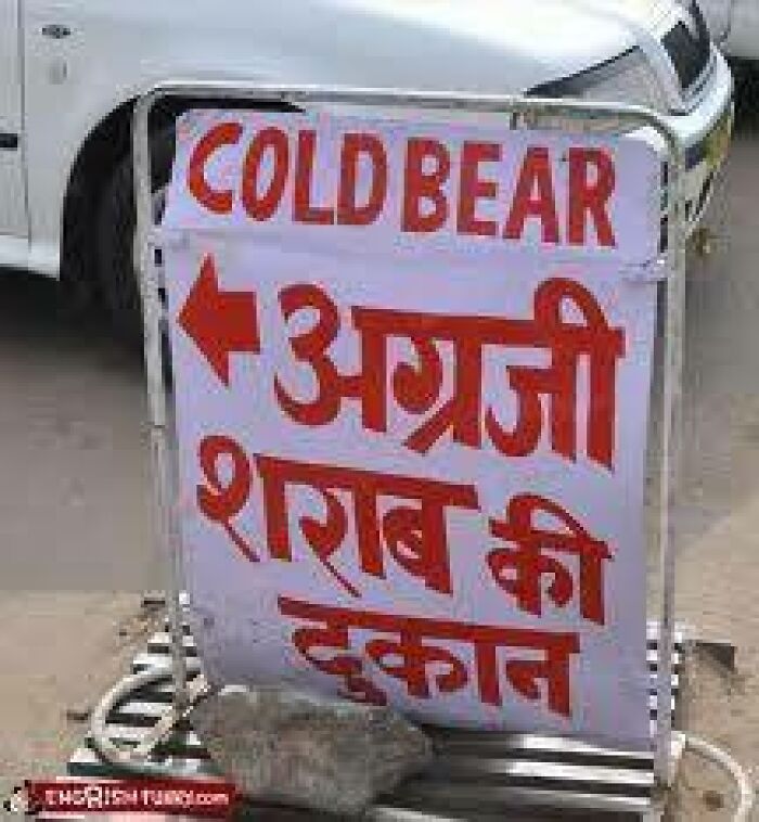 It's Friday! Let's Celebrate With An Ice Cold Bear