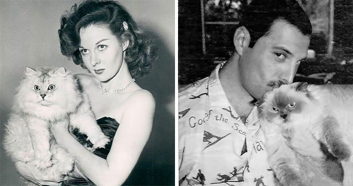 40 Vintage Photos Of Cats Posing With Famous People And Interesting Personalities (New Pics)