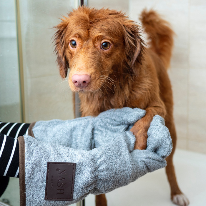 Wet dog being dried with a soft towel, addressing dry skin care. Wet dog being dried with a soft towel, addressing dry skin care.