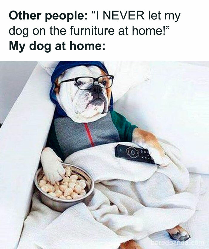 Wholesome-Funny-Memes