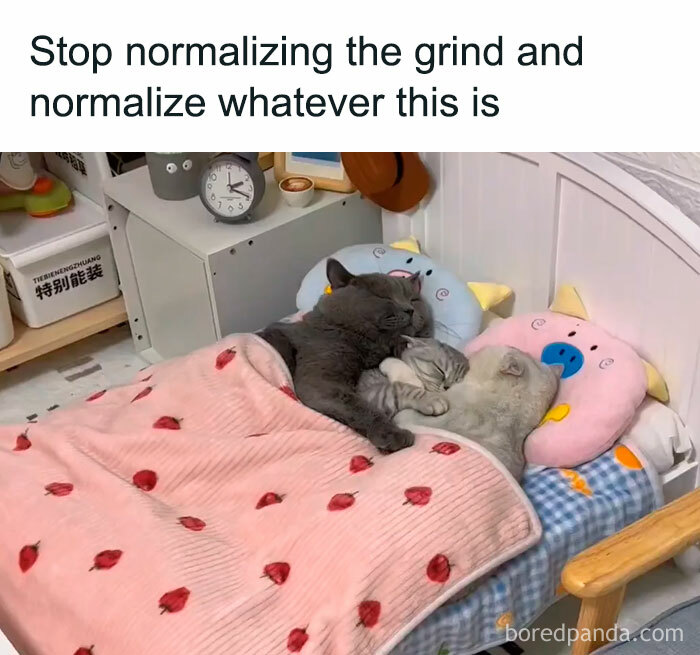 Wholesome-Funny-Memes