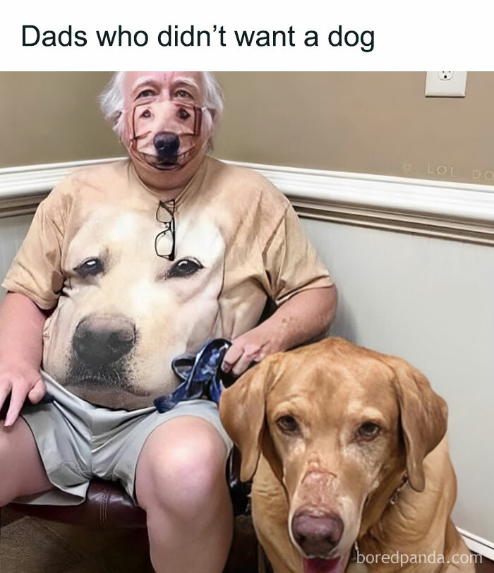 Wholesome-Funny-Memes