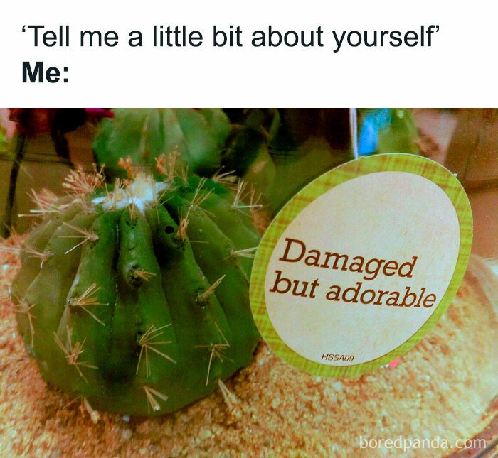 Wholesome-Funny-Memes