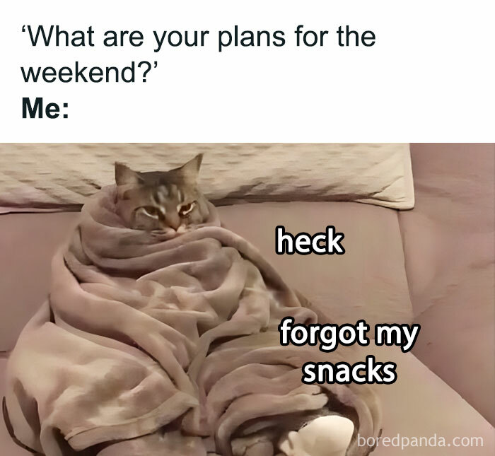 Wholesome-Funny-Memes