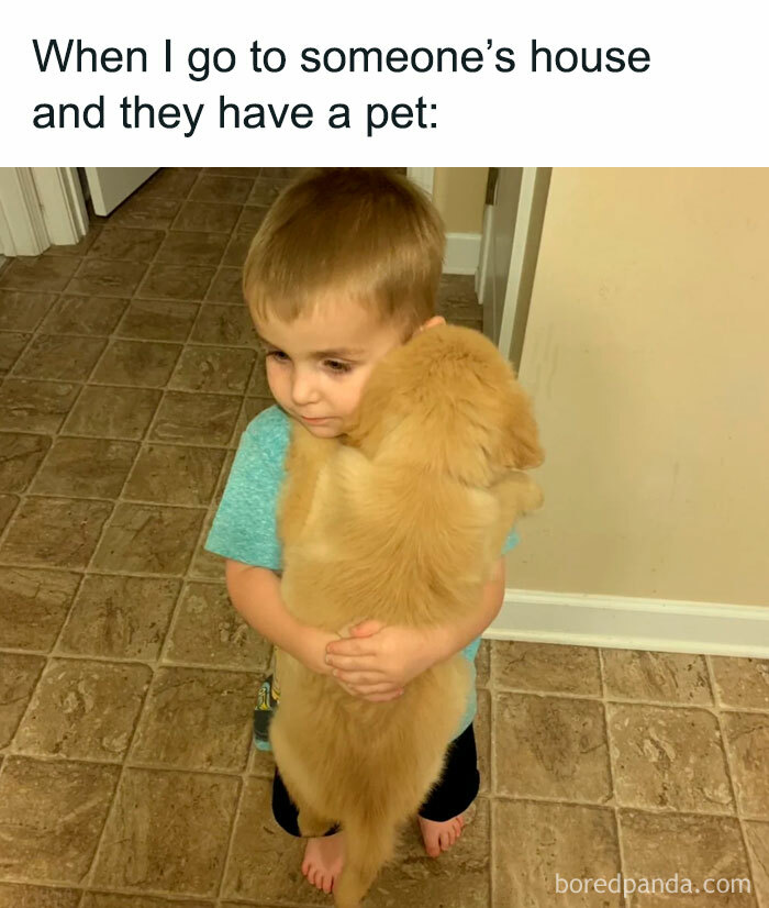 Wholesome-Funny-Memes