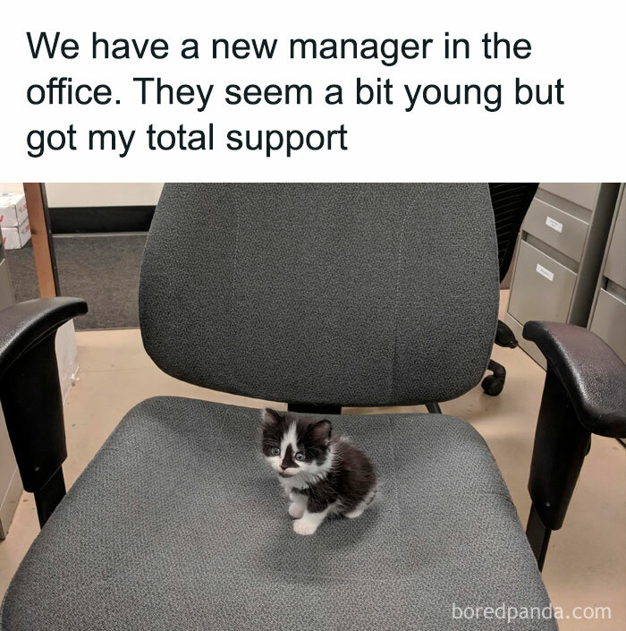 Wholesome-Funny-Memes