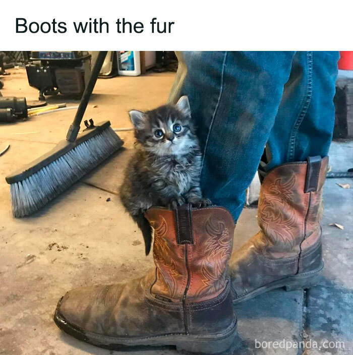 Wholesome-Funny-Memes