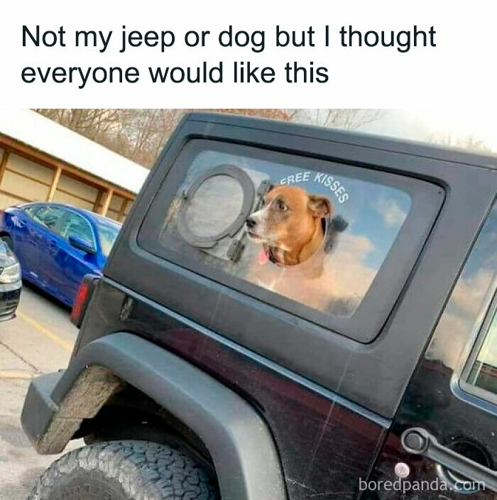 Wholesome-Funny-Memes