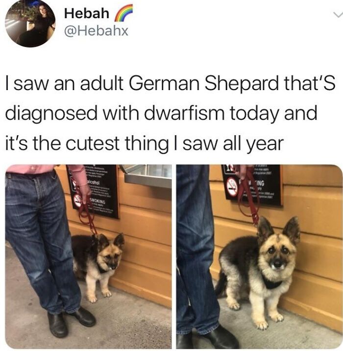 Adorable Little Thing That I Wanted To Share