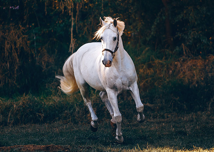 “Did That Really Just Happen?”: 35 Scandalous Workplace Christmas Parties That Are Hard To Forget
