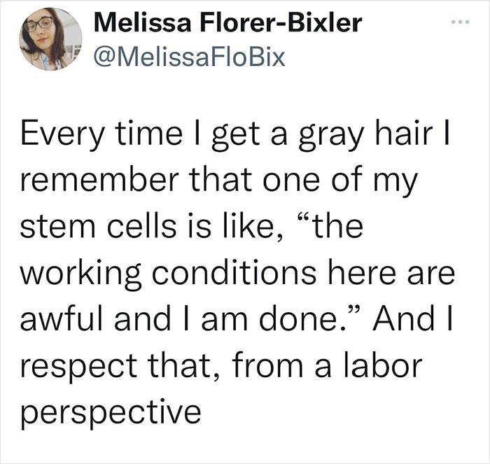 Workipedia-Antiwork-Memes