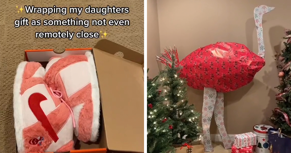 Person Hides What Their Actual Gifts Are, And The Results  display picture 2