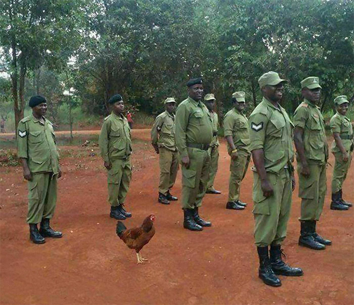 50 Of The Most Bizarre Pics That Got Posted On This No Context Instagram Page