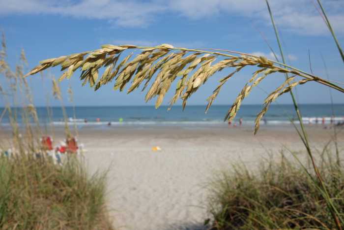 31 Of The Worst Tourist Traps Around The Globe, As Shared By Members Of This Online Community