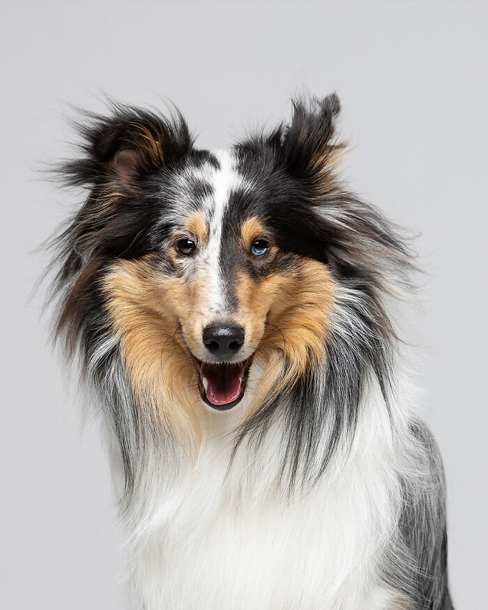 Frost The Supermodel