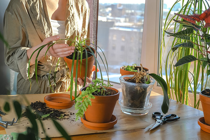 Woman Is Done With Vegan Roommate&rsquo;s Daily Shaming Of Her Diet, Comes Up With Genius Revenge