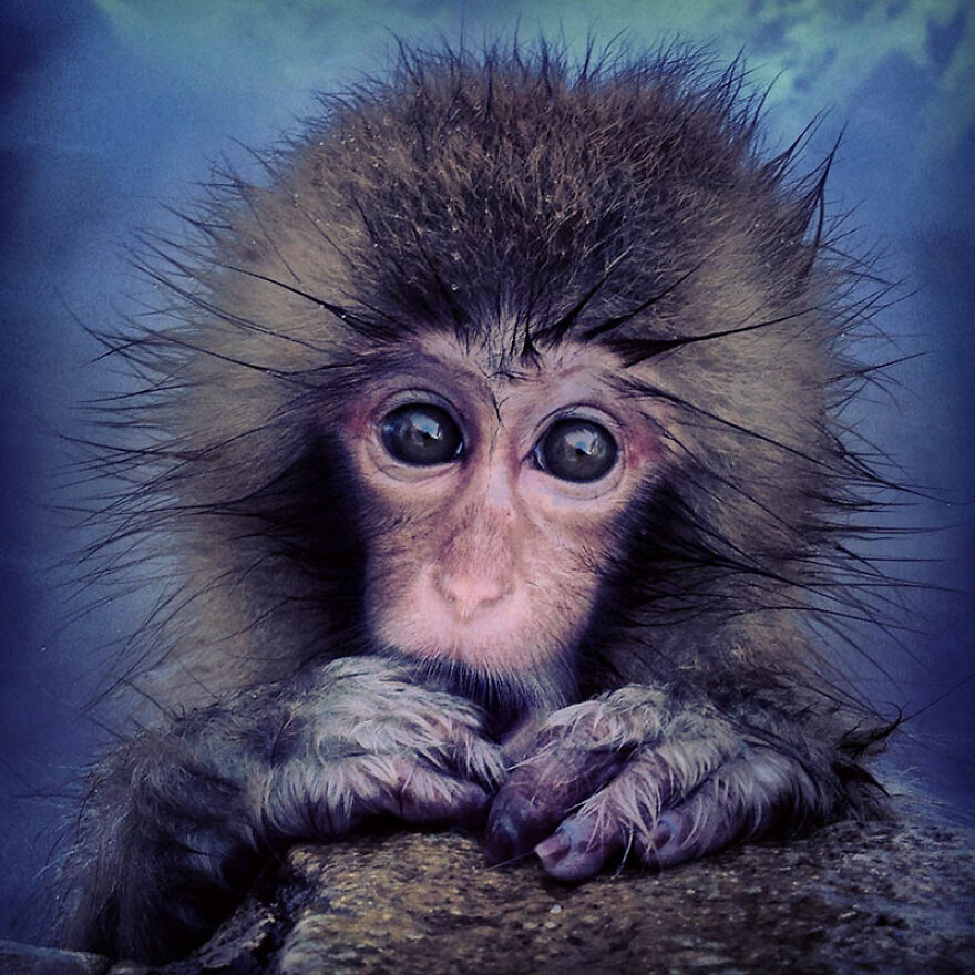 Mutual Wonder By John Gamble