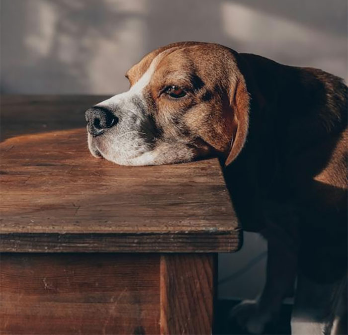 "What Is A Red Flag To See In Someone's Home?": 30 Honest Answers