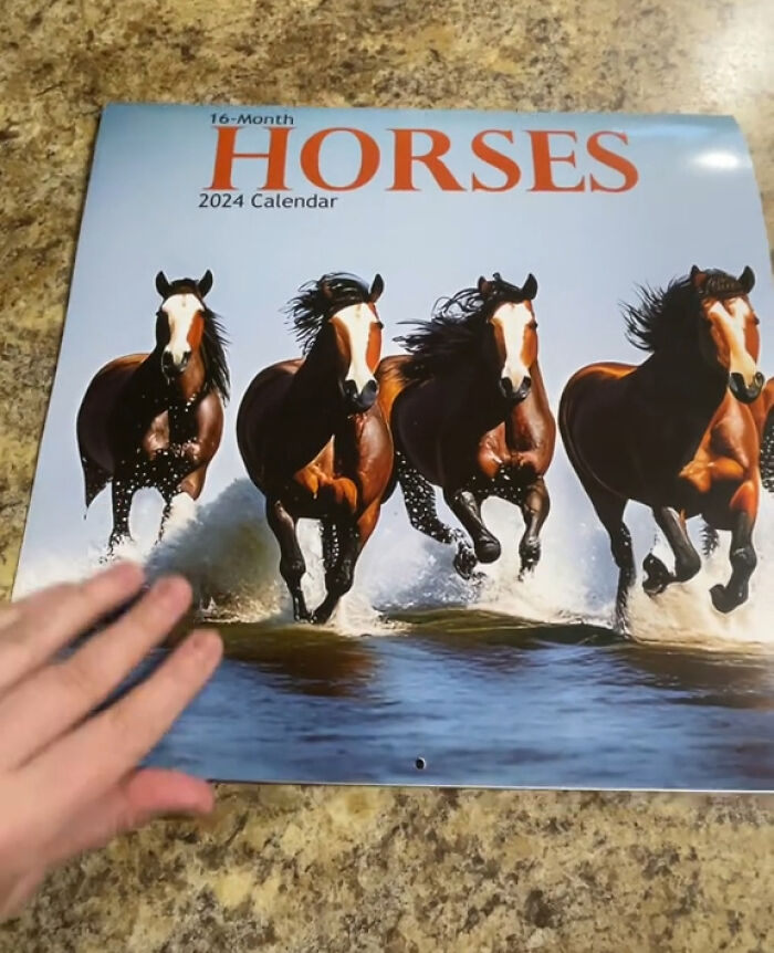Esta mujer se compró un calendario con fotos de caballos, pero resultó ser demasiado extraño