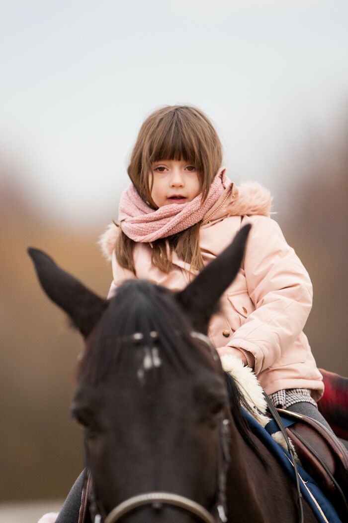 A Horse As A Pet (9 Pics)