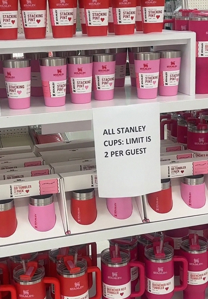 &ldquo;Is A Cup Worth Your Job?&ldquo;: Target Employees Across The US Get Sacked Over Stanley Cups