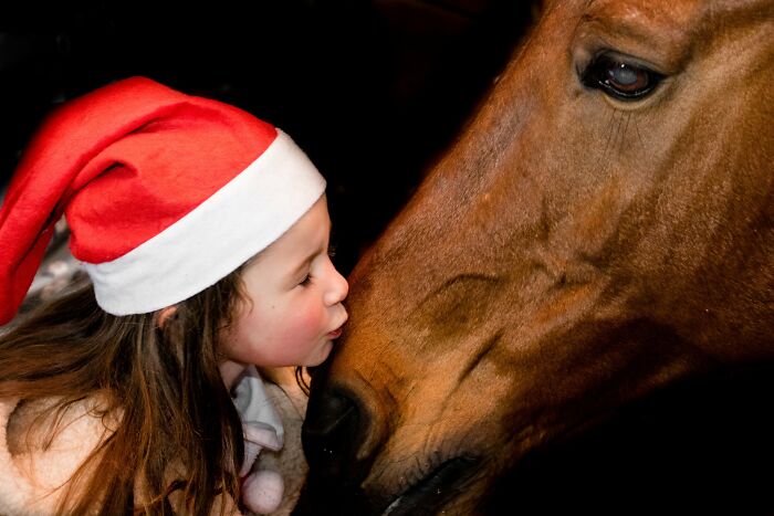 A Horse As A Pet (9 Pics)