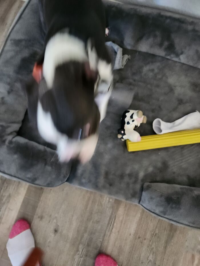 My Little Eldritch Abomination 🥰🥰🥰