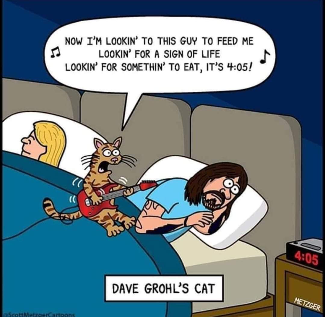 Dave Grohl’s Cat