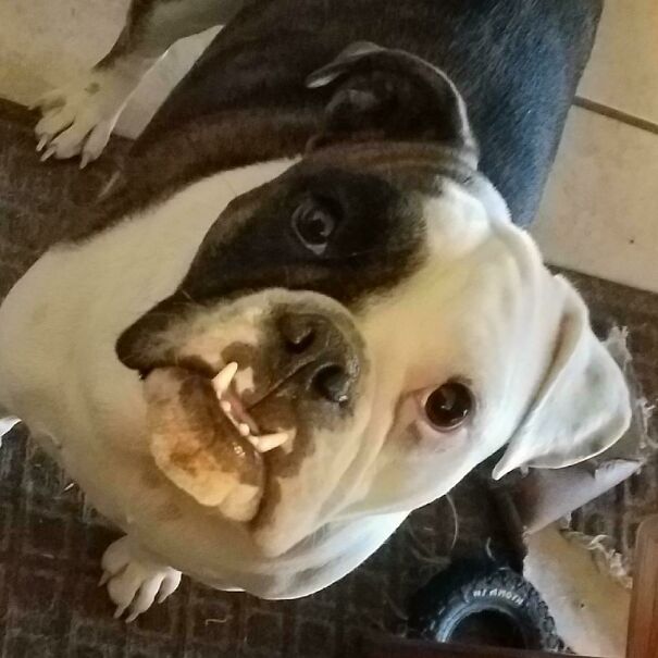 Whatcha Eatin There Dave?