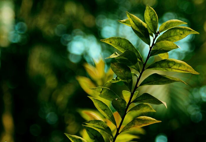 Here Are 20 Untitled Photographs I Took