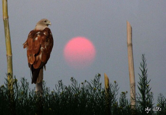 Here Are 20 Untitled Photographs I Took