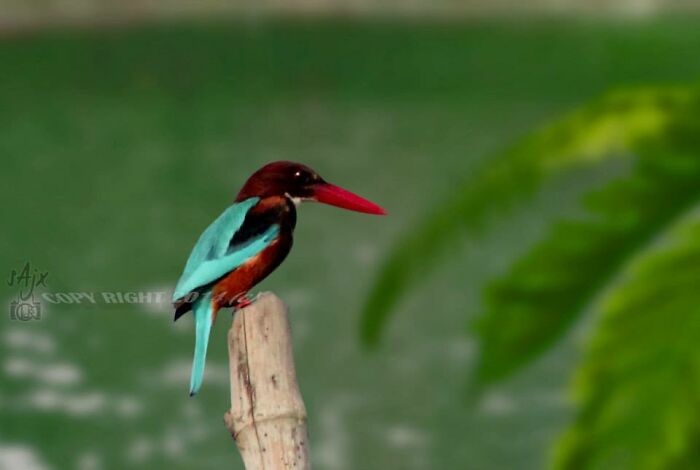 Here Are 20 Untitled Photographs I Took