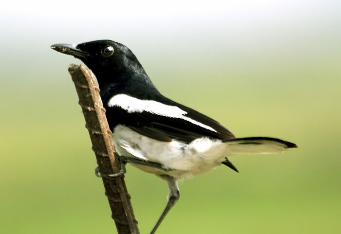 Here Are 20 Untitled Photographs I Took