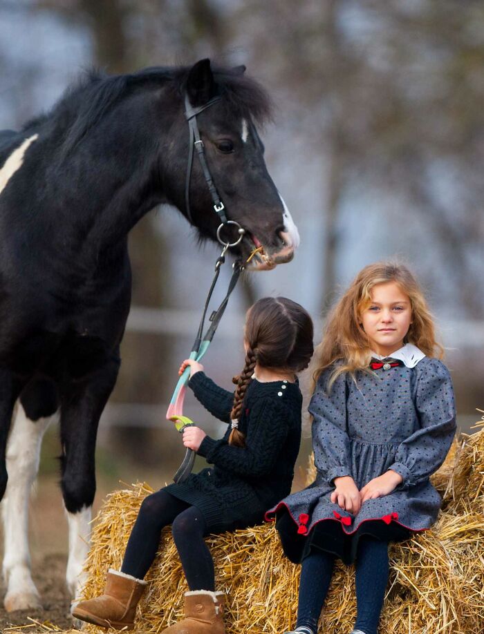 A Horse As A Pet (9 Pics)