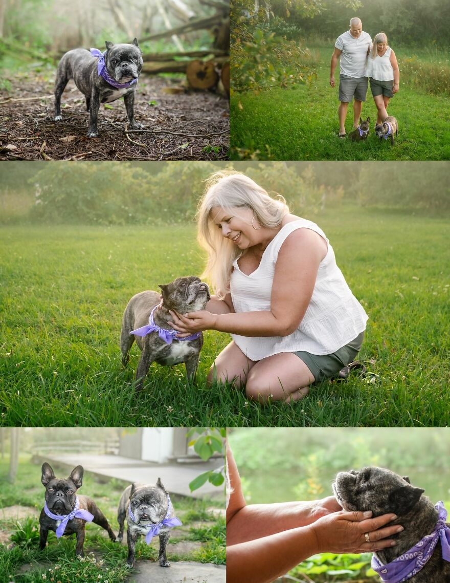 Celebrating Dogs & Their Humans