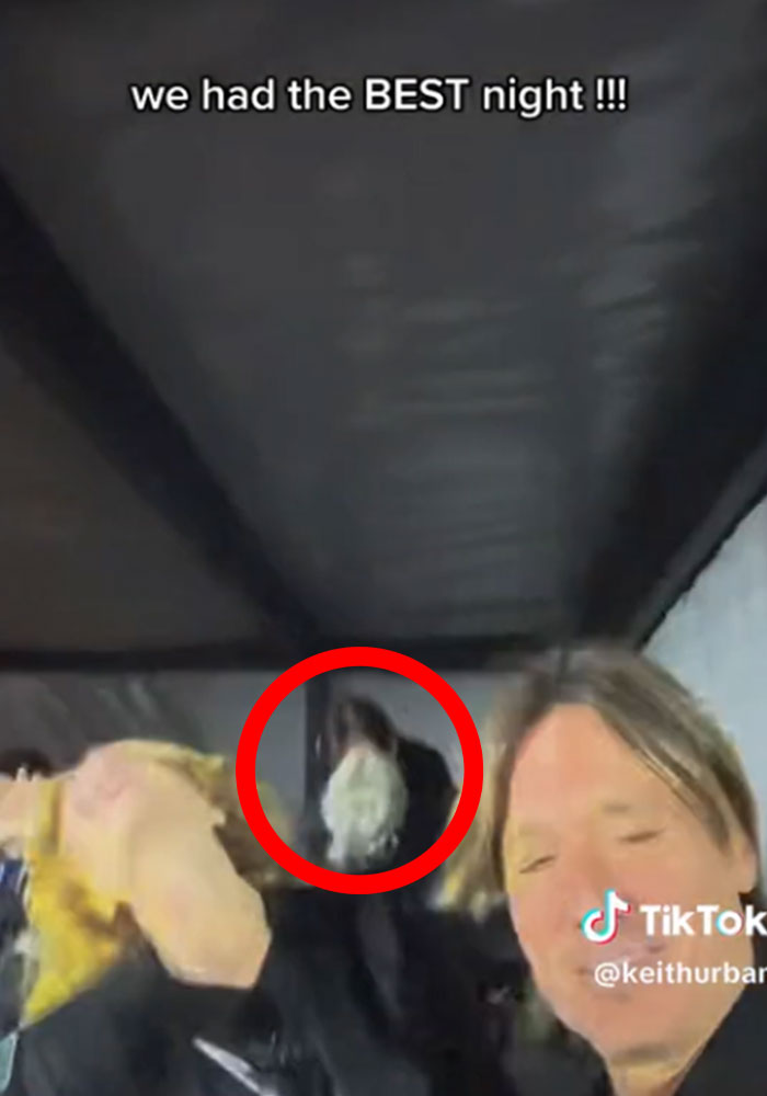 Keith Urban Accidentally Exposed Phoebe Bridgers’ Relationship With Bo Burnham