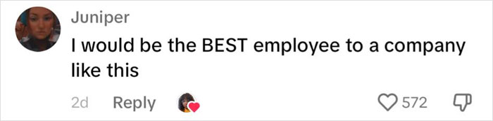 &ldquo;Best Job Offer I&rsquo;ve Ever Seen&rdquo;: Woman Shares Job Listing That Checks Every Box