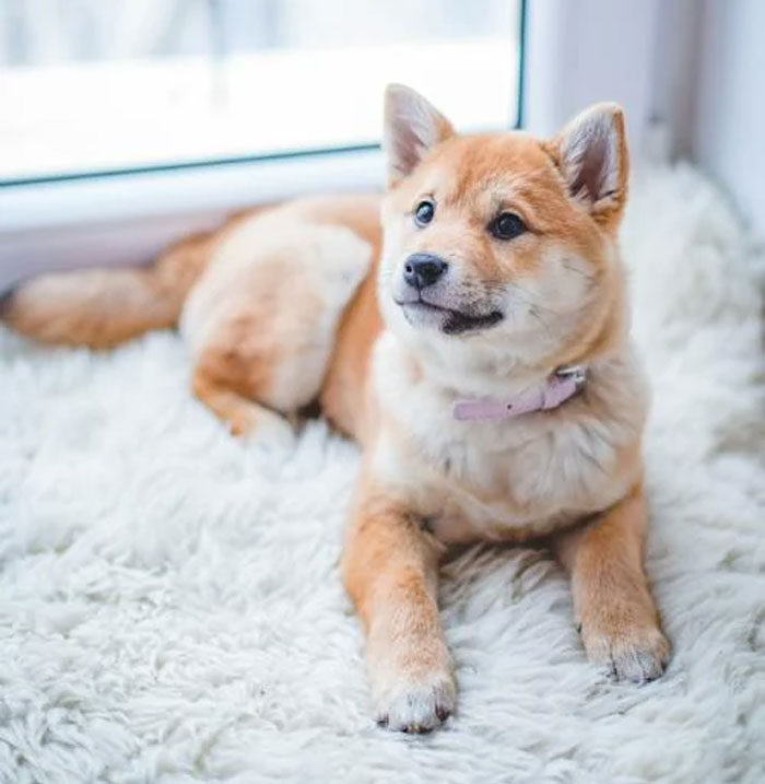 "Museum Day": 30 Frugal "Treats" That Prove Good Parenting Is Not About Money