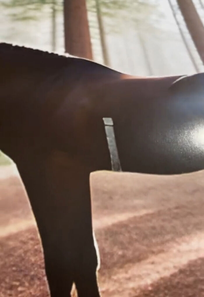 Esta mujer se compró un calendario con fotos de caballos, pero resultó ser demasiado extraño