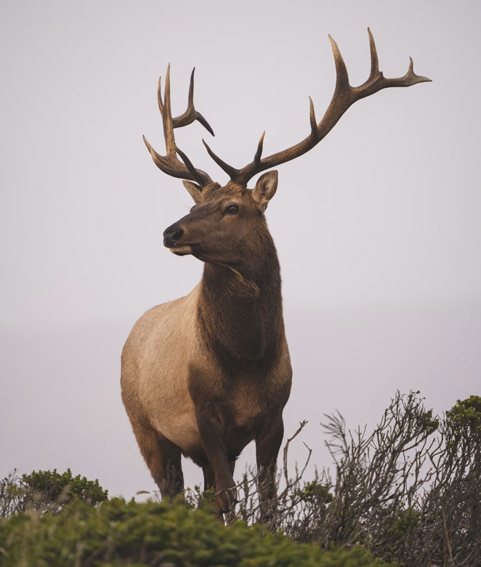 "Harass The Queen's Guard": 30 Things Tourists Do That The Locals Absolutely Hate