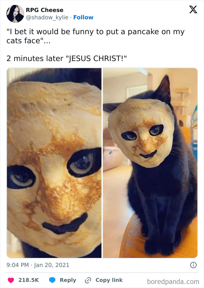 Hilarious-Funny-Animal-Memes