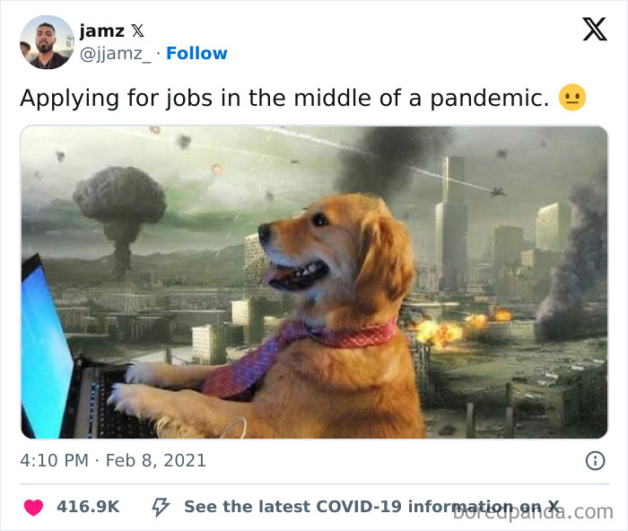 Dog in a tie at a computer during chaos, representing a funny WFH meme about job hunting in a pandemic.