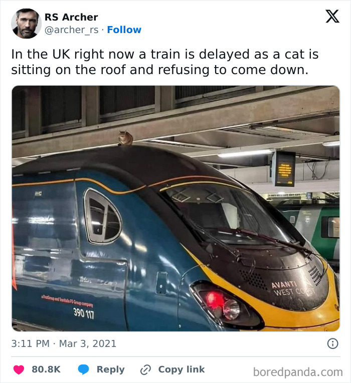 Best-Funny-British-Memes