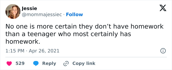 Hilarious-Realities-Raising-Teenager