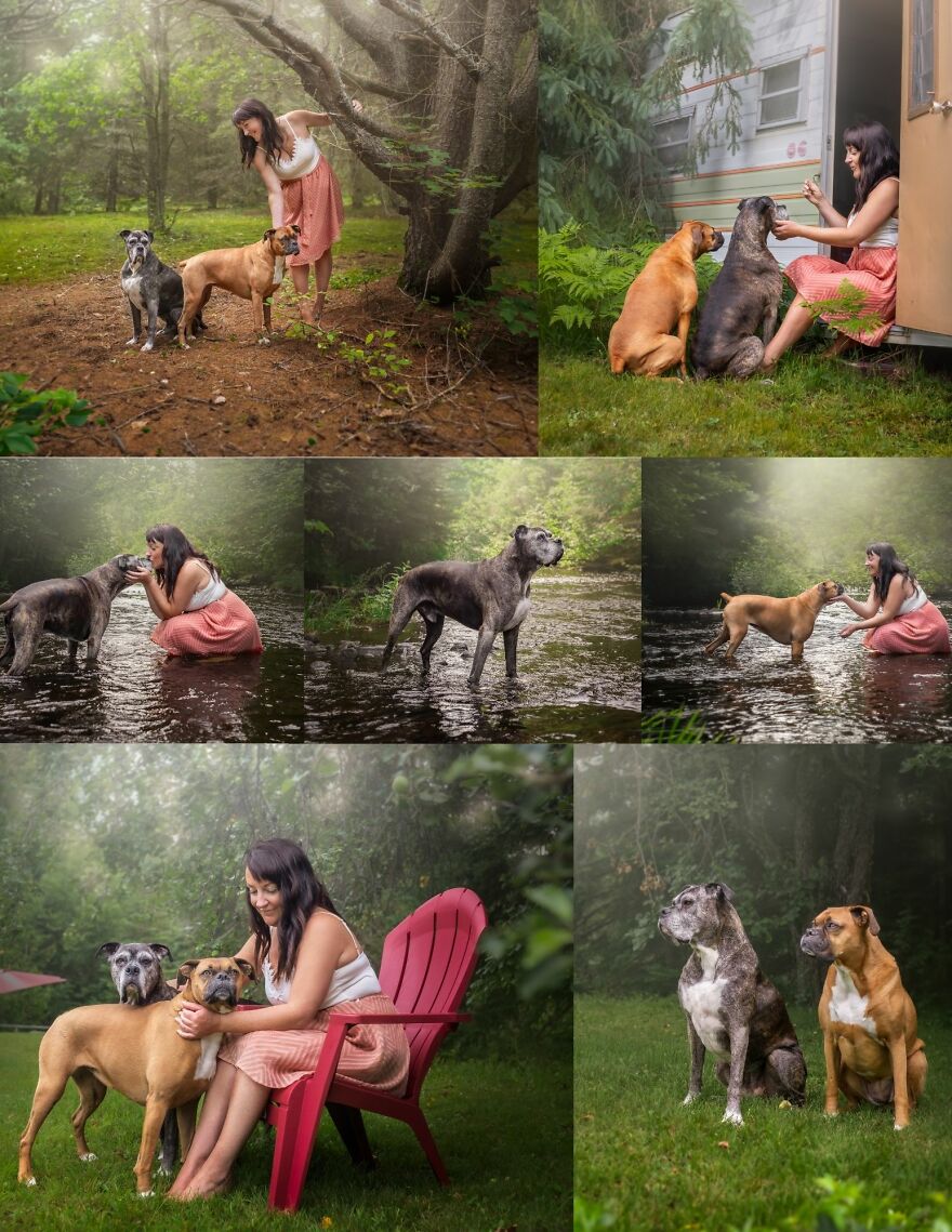 Celebrating Dogs & Their Humans