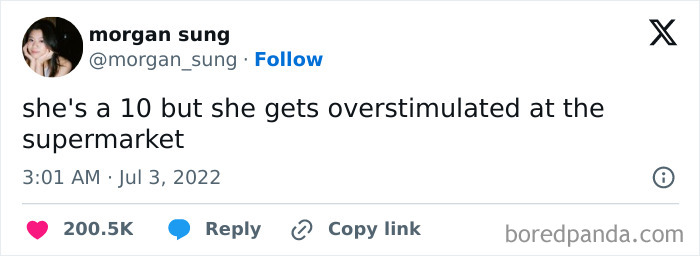 Tweet showing a funny meme about social overstimulation, perfect for fans of memes to enjoy when not feeling social.