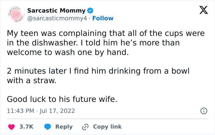 Hilarious-Realities-Raising-Teenager