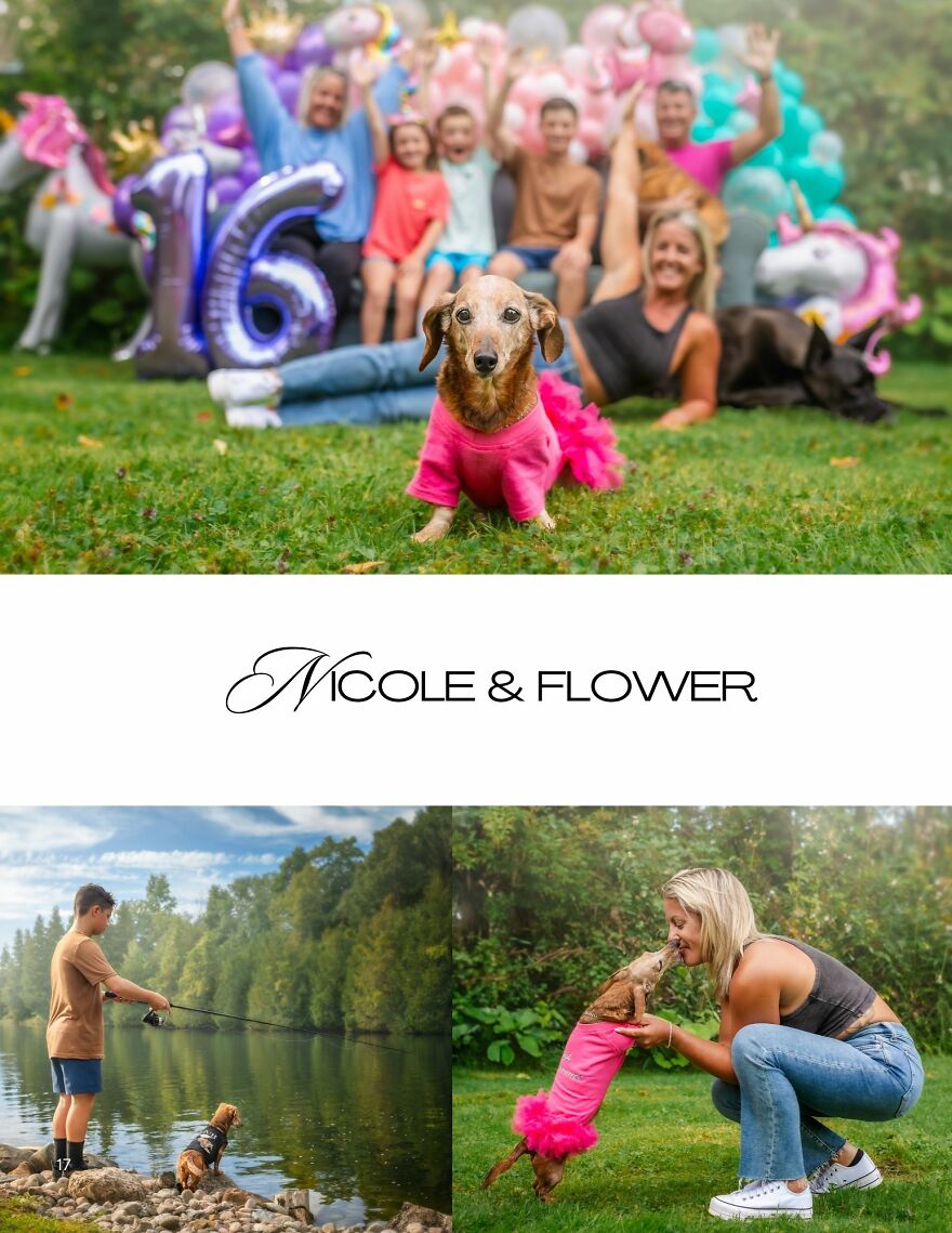 Celebrating Dogs & Their Humans