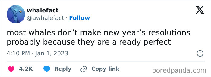 Tweet about whales not making New Year's resolutions because they are already perfect, reflecting humor in resolutions.