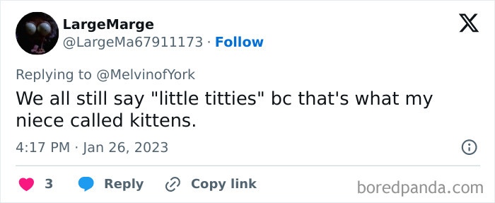 Kids-Mispronouncing-Words-Phrases